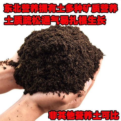 多肉營(yíng)養花土配制
