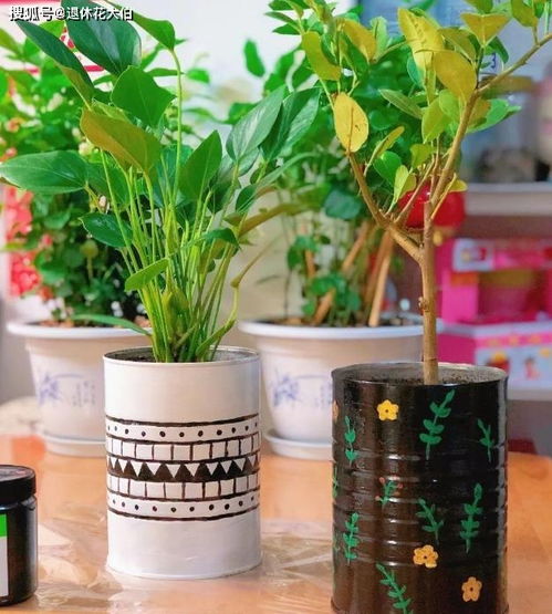 陽(yáng)臺養花用什么花盆好