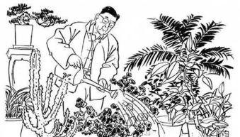 老舍怎樣把養花當作生活中的樂(lè )趣