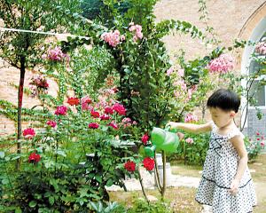 養花語(yǔ)言親切
