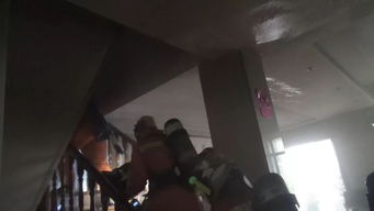 孕婦屋內養花