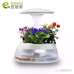 室內養花愛(ài)掉葉