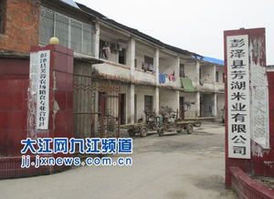 打米廠(chǎng)的灰塵可以養花嗎