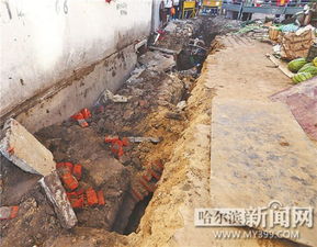 陽(yáng)光頤養花園小區平面圖