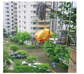 陽(yáng)臺養花多好嗎