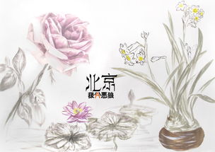《養花》老舍劃分段落
