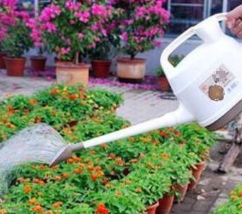 陽(yáng)臺養花要少而精嗎