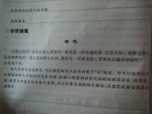 養花心得作文三百字