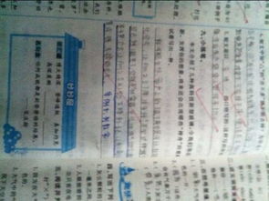 新型養花玻璃簡(jiǎn)介作文