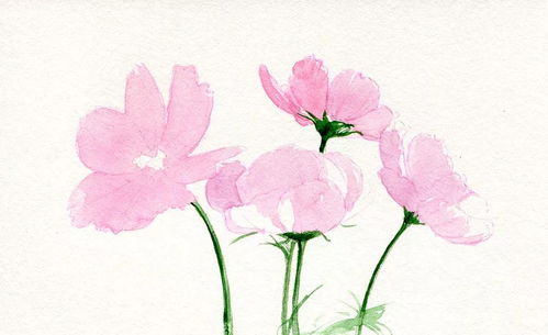 培養花卉的方法pdf