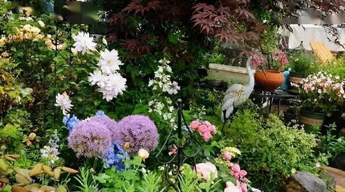 種花養花小說(shuō)