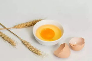 營養(yǎng)花土有市場(chǎng)價(jià)值嗎