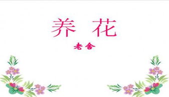 老舍養花文章的好句