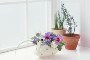 香灰能養花么