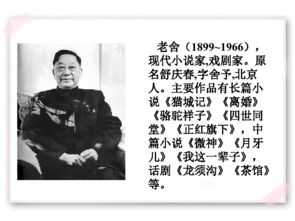 養花老舍六級基礎訓練第四題