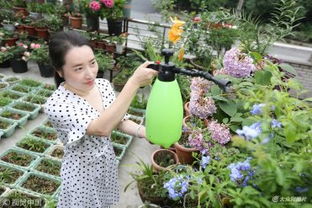 屬狗的可以養花嗎