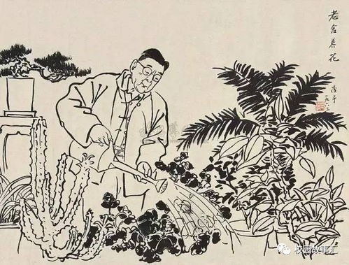 老舍養花主要主題