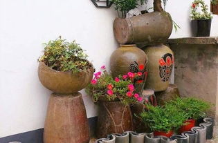 怎樣用飲料桶養花