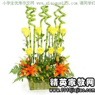 五級養花觀(guān)察日記