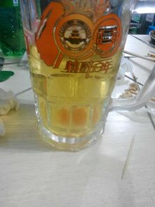雞蛋加啤酒養花好嗎