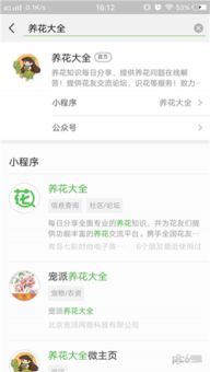 如何找到一掃養花