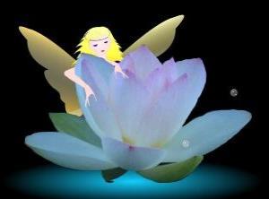 小學(xué)三級養花作文三級