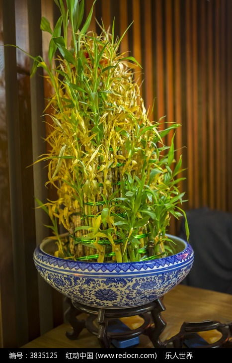 大型水養花盆