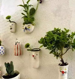 用完的暖寶貼里面的碳能養花嗎