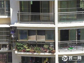 窗外養花