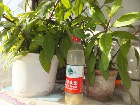 澆花養花的時(shí)間