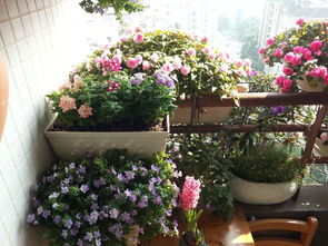 家里養花有馬陸