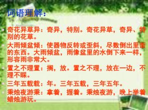 六級下冊課文養花課件