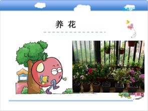 北師大養花課件