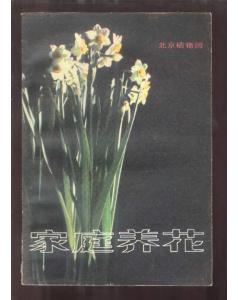 家養花的描寫(xiě)片段