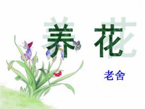 養花老舍概括段意
