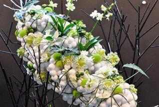 北京學(xué)習養花插花訓練班