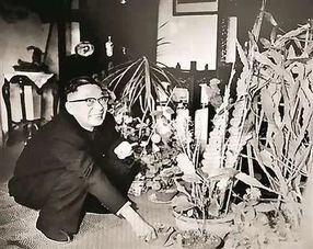 養花老舍翻譯