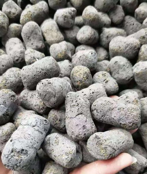 廁所用的陶?？梢责B(yǎng)花嗎