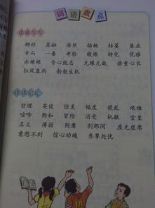 六級下冊語(yǔ)文書(shū)養花詞語(yǔ)
