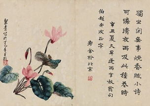 養花老舍我想對作者說(shuō)