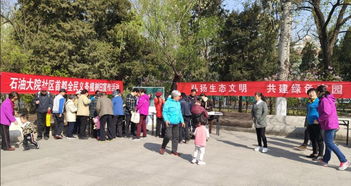 關(guān)于養(yǎng)花的活動(dòng)方案
