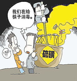 養花的經(jīng)歷作文200字以上