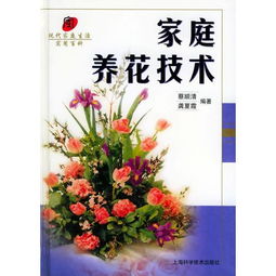 家庭養花技術(shù)教案