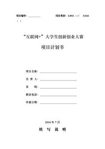 互聯(lián)網(wǎng),計劃書(shū),排版,創(chuàng  )業(yè)項目