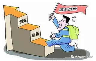 返鄉下鄉人員創(chuàng  )業(yè)創(chuàng  )新工作存在的問(wèn)題