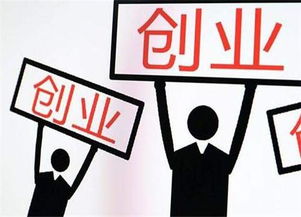 創(chuàng  )業(yè)創(chuàng  )新簡(jiǎn)述創(chuàng  )業(yè)者的類(lèi)型