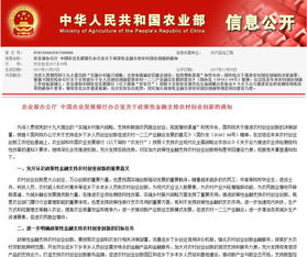 創(chuàng)新創(chuàng)業(yè)指導老師意見,農(nóng)民創(chuàng)新創(chuàng)業(yè)事跡,對創(chuàng)新創(chuàng)業(yè)課程的建議和意見