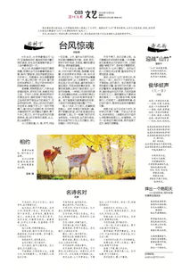 眾創(chuàng  )新視野創(chuàng  )業(yè)