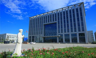 德州中元科技創(chuàng  )新創(chuàng  )業(yè)園是做什么的,大學(xué)創(chuàng  )業(yè)園是做什么的,電子商務(wù)創(chuàng  )業(yè)園是做什么的