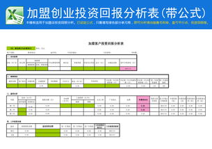 創(chuàng  )新創(chuàng  )業(yè)資金回報表格